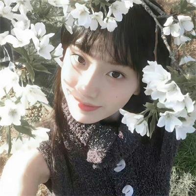 犬夜叉