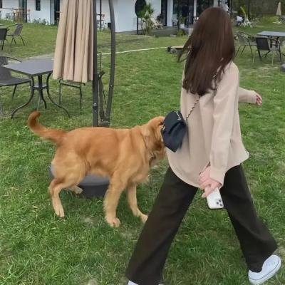 我坦白
